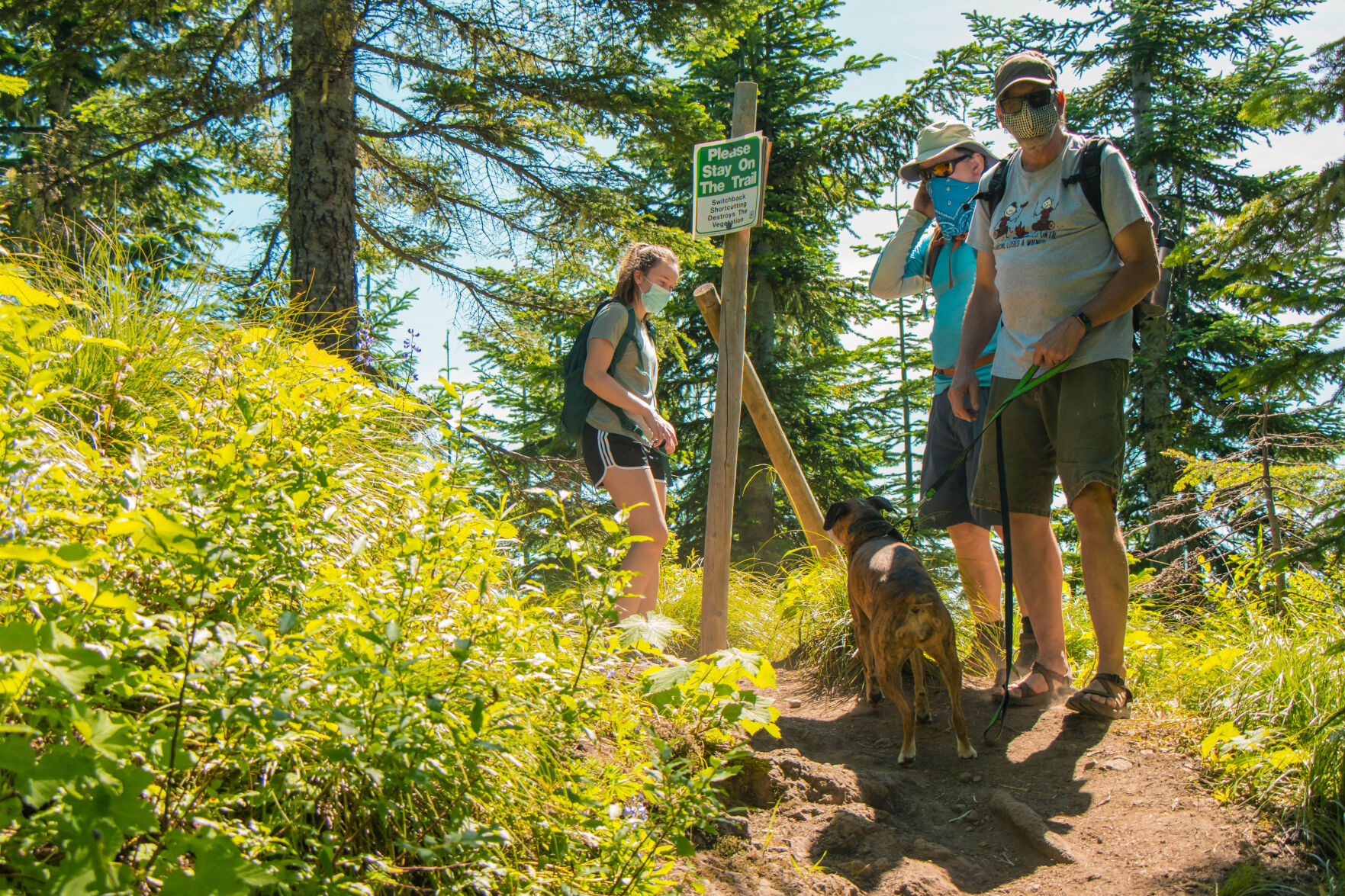 High Rock Lookout